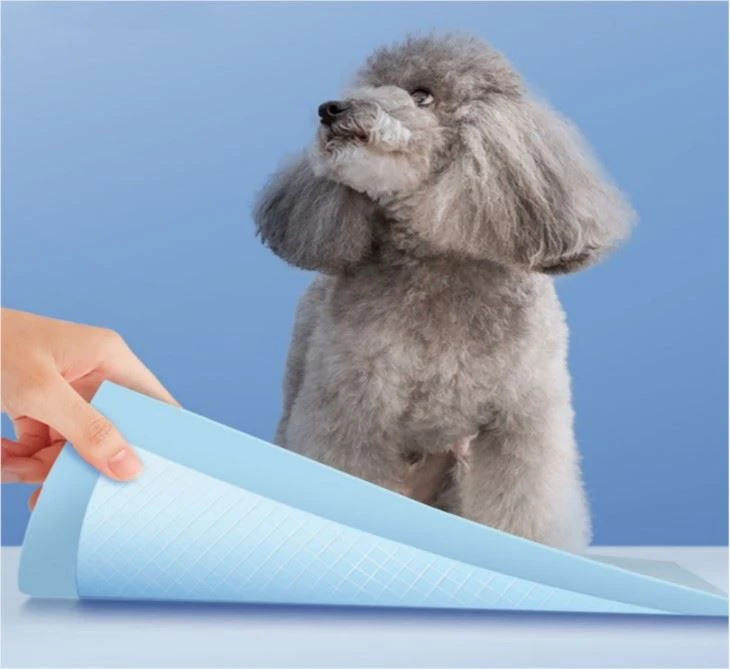 24 X 24 pulzier Pet Wee Pee Piddle Pad, OEM / ODM Pee Pad Underpad Dog Pad Prodotti tat-Taħriġ