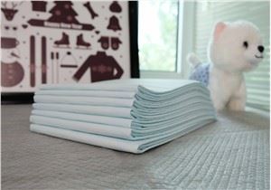 Dog Pee Training Pads Super Assorbenti & Leak-Proof