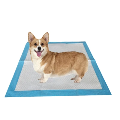 Pads Potty Disposable Antibatteriċi Għall-Klieb