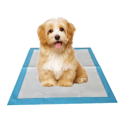 Kontroll tar-riħa antibatteriċi Pads Potty Pet Disposable