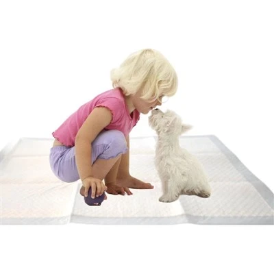 Kuxxinett ta 'Assorbiment Li jintrema Għall-Bnedmin U Pets