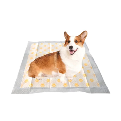 Saħħa-Monitoraġġ Dog Pee Pads