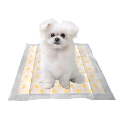 Monitoraġġ tas-Saħħa PH Test Disposable Dog Pee Pads
